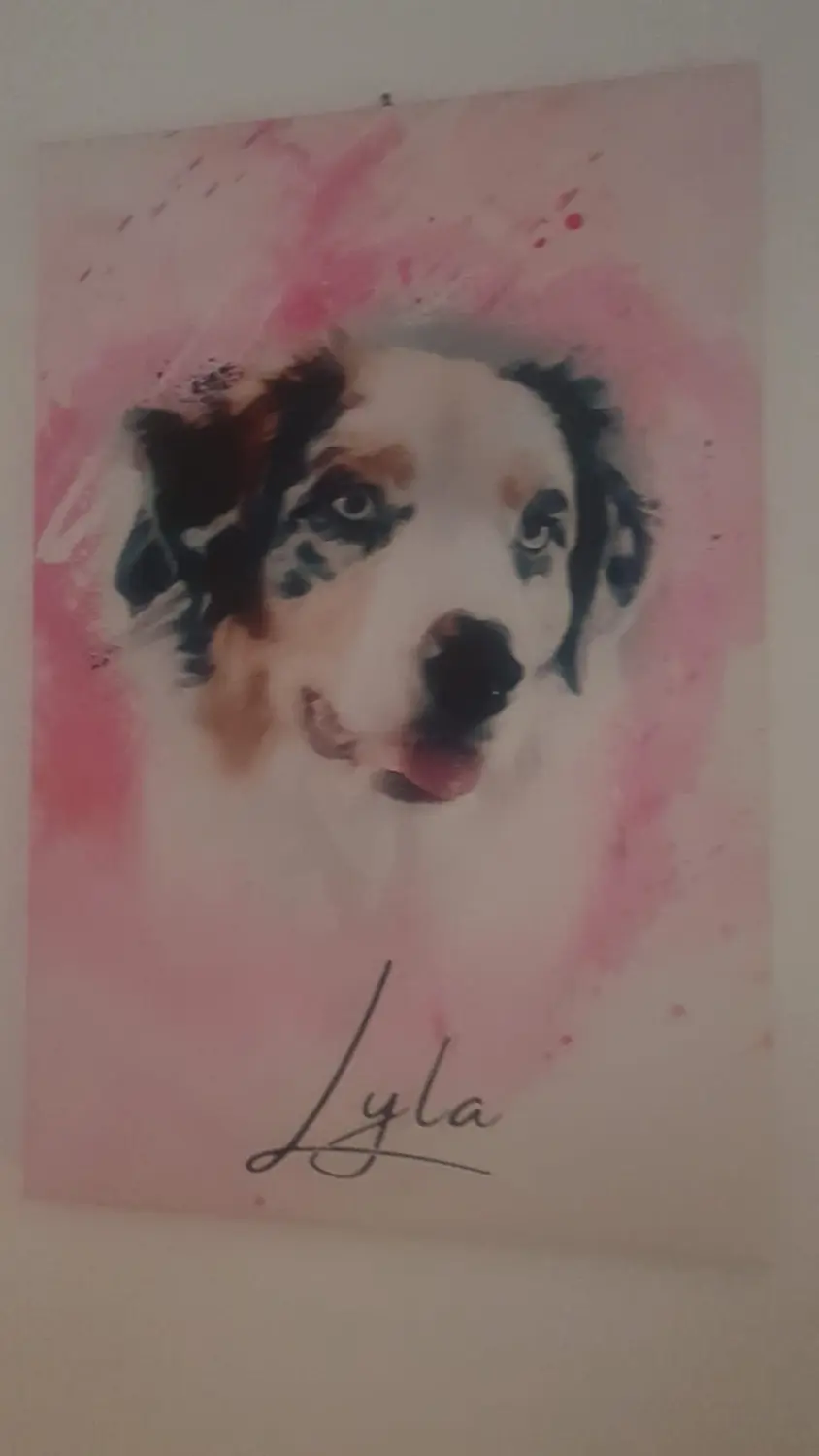 Hund von Zachskorn